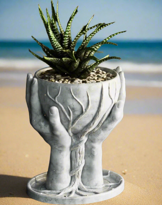 Plant Pot ( Hands )